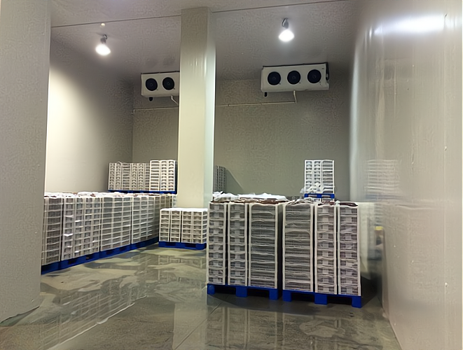 開一個雪糕批發(fā)冷庫 專業(yè)指導，創(chuàng)業(yè)無憂！預包裝食品批發(fā)策略